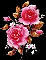 fleurs et nature (31)